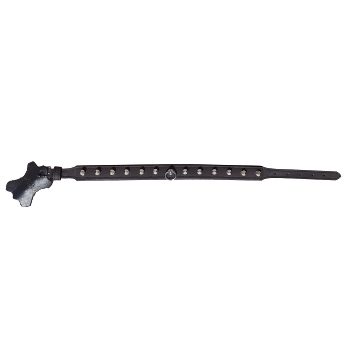 leather BDSM collar with spikes