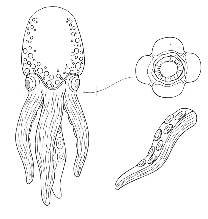 Octopussy slutligt utkast