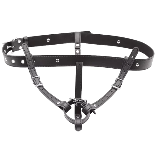 Harness for vibrating head